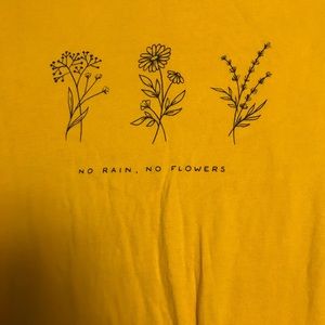 Wholesome Culture t-shirt, no longer available.